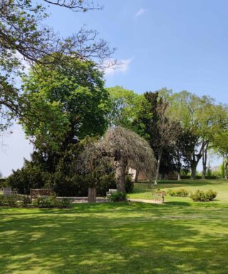 Parc Domaine Royal de dreux