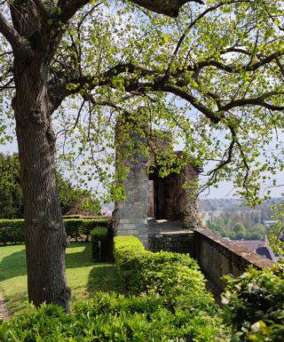 Parc Domaine Royal de Dreux